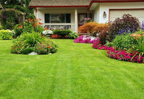 Healthy Lawn Image